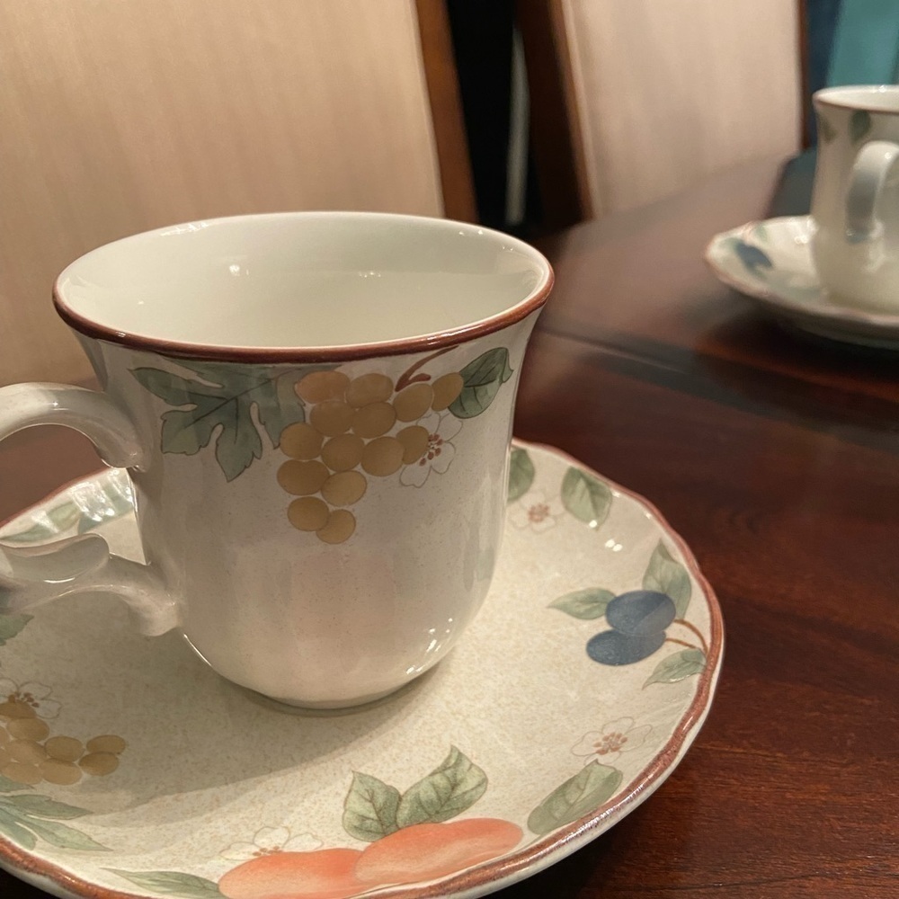 Mikasa Country Classics Cup and Saucer Tea/Coffee Fruit Panorama Set of 6